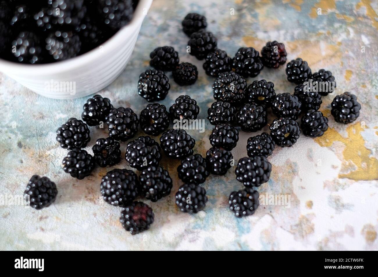 freshly picked organic blackberries on faded kitchen work surface, norfolk, england Stock Photo