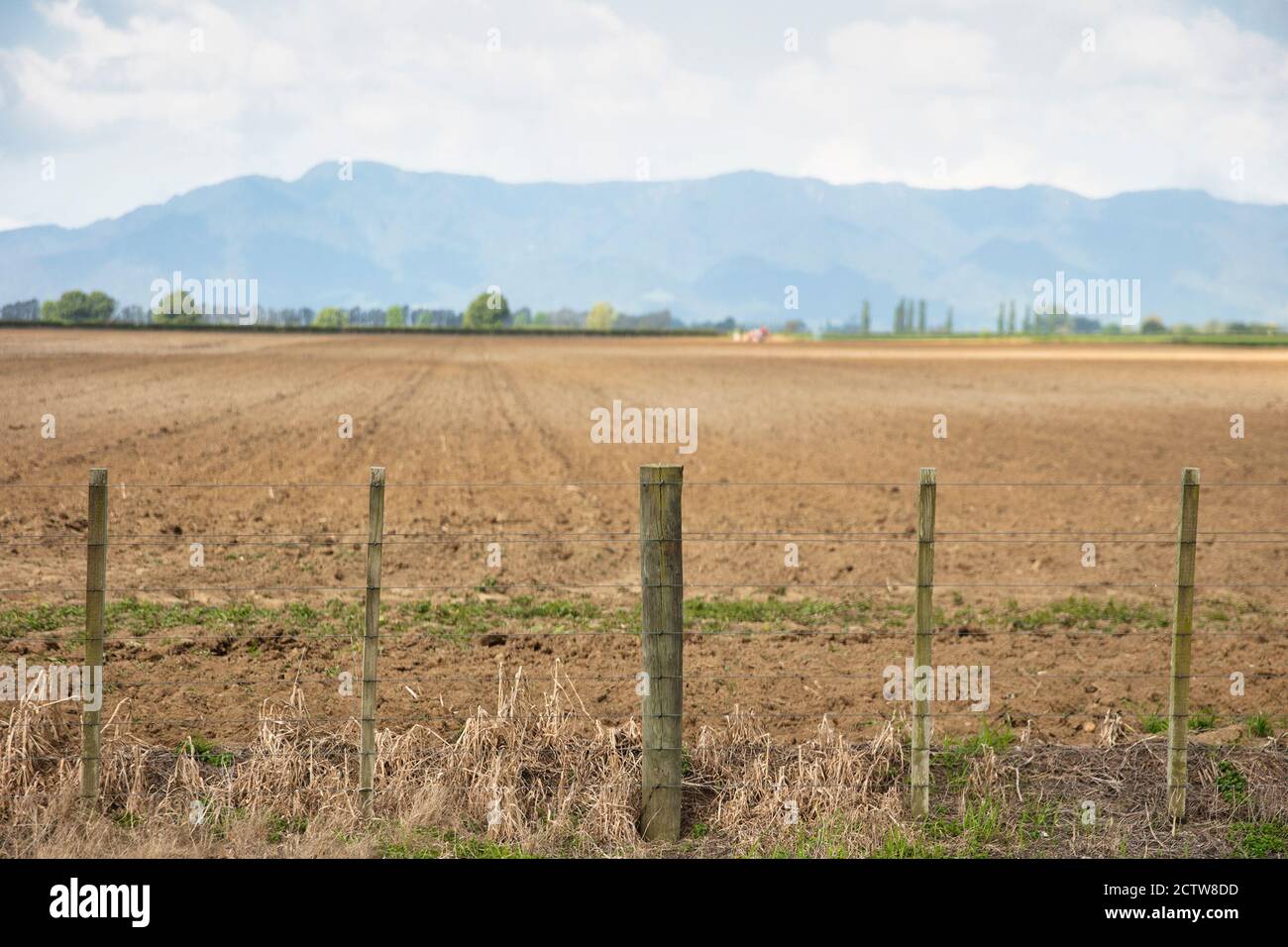 New Zealand farming industry in North Island countryside. Stock Photo