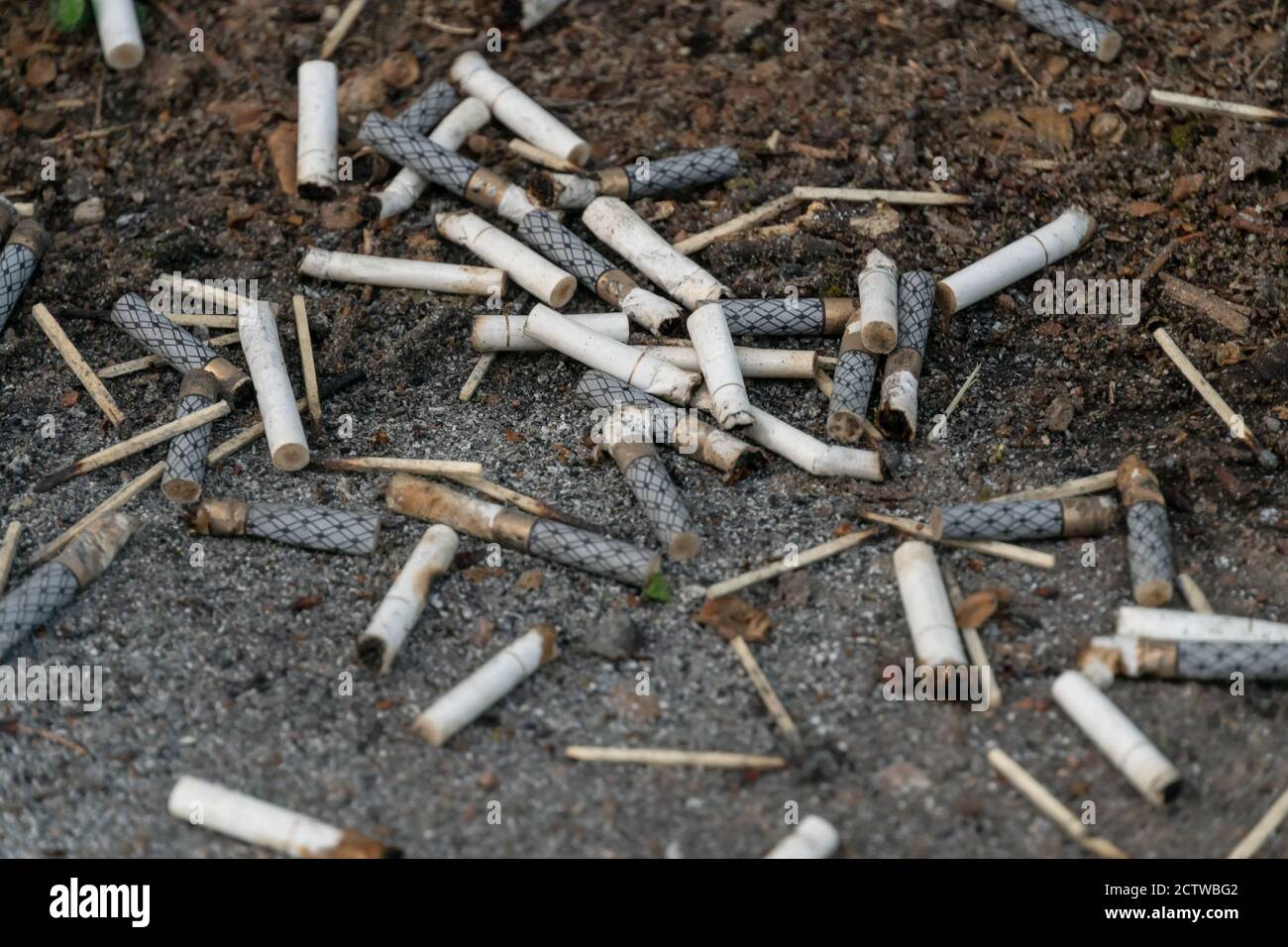 Cigarette butts on ground hi-res stock photography and images