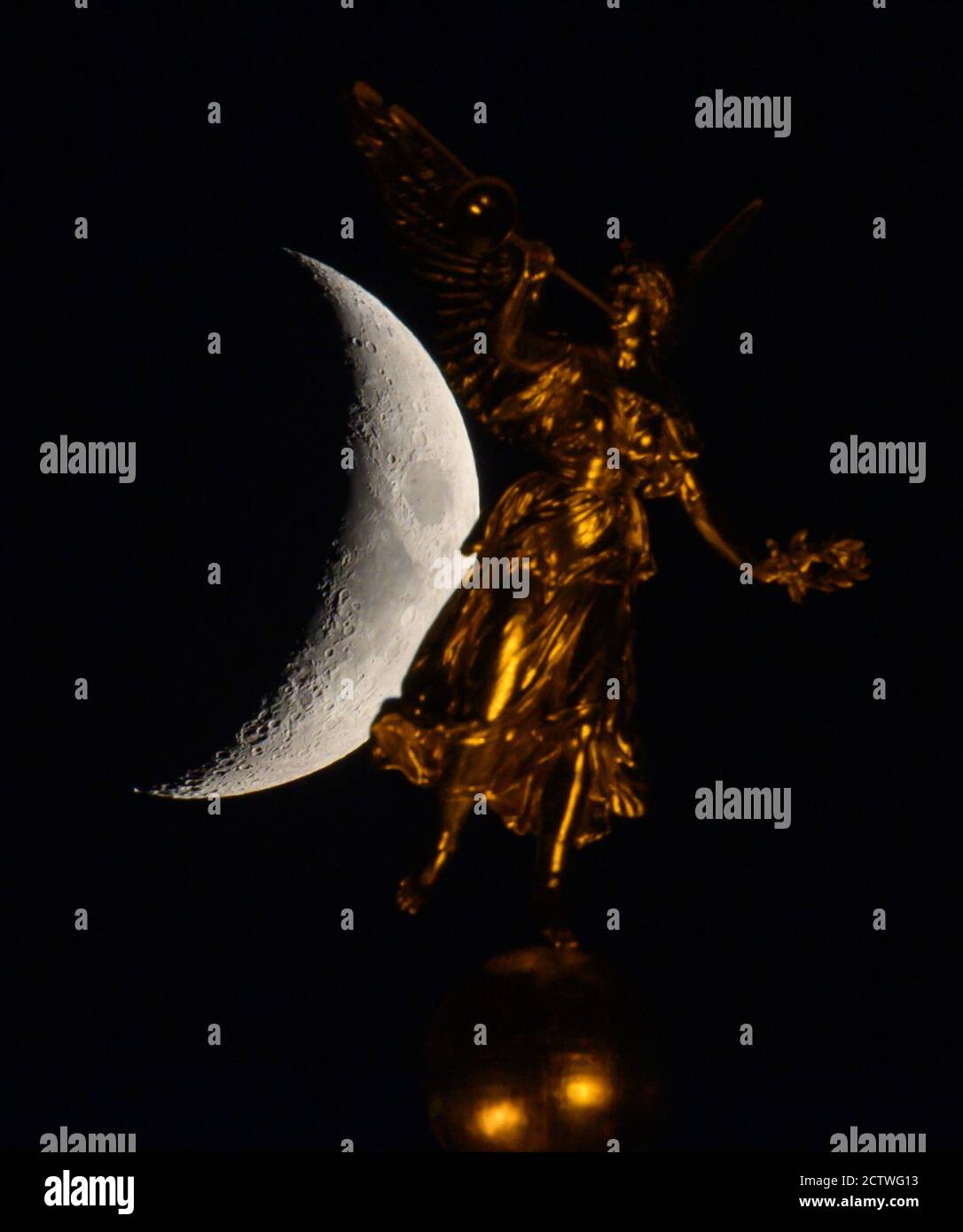 絵画。原画【A bear angel holds the moon】 Bear, Moon and Universe by Stephanie Laird