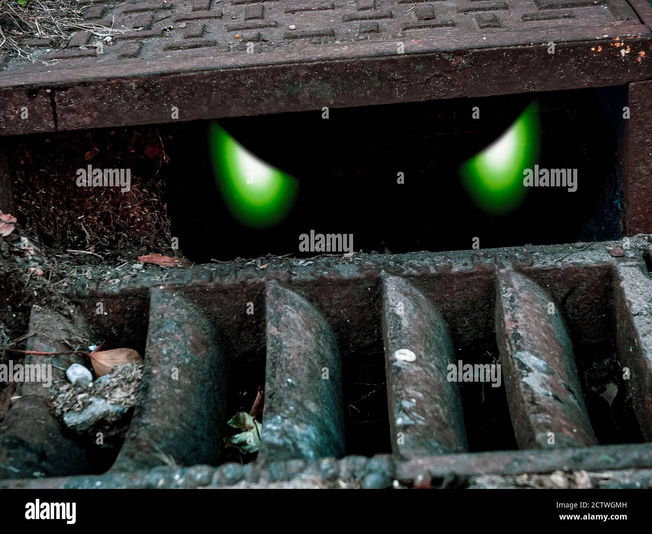 Glowing green eyes looking out from sewer Stock Photo
