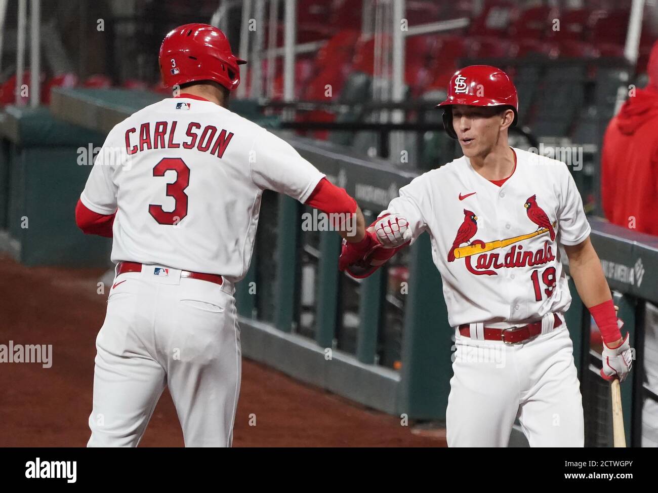 Download Dylan Carlson - Promising Talent of St. Louis Cardinals  Wallpaper