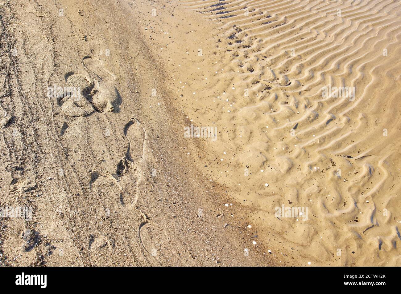 Wavy sea sand background on the beach Stock Photo