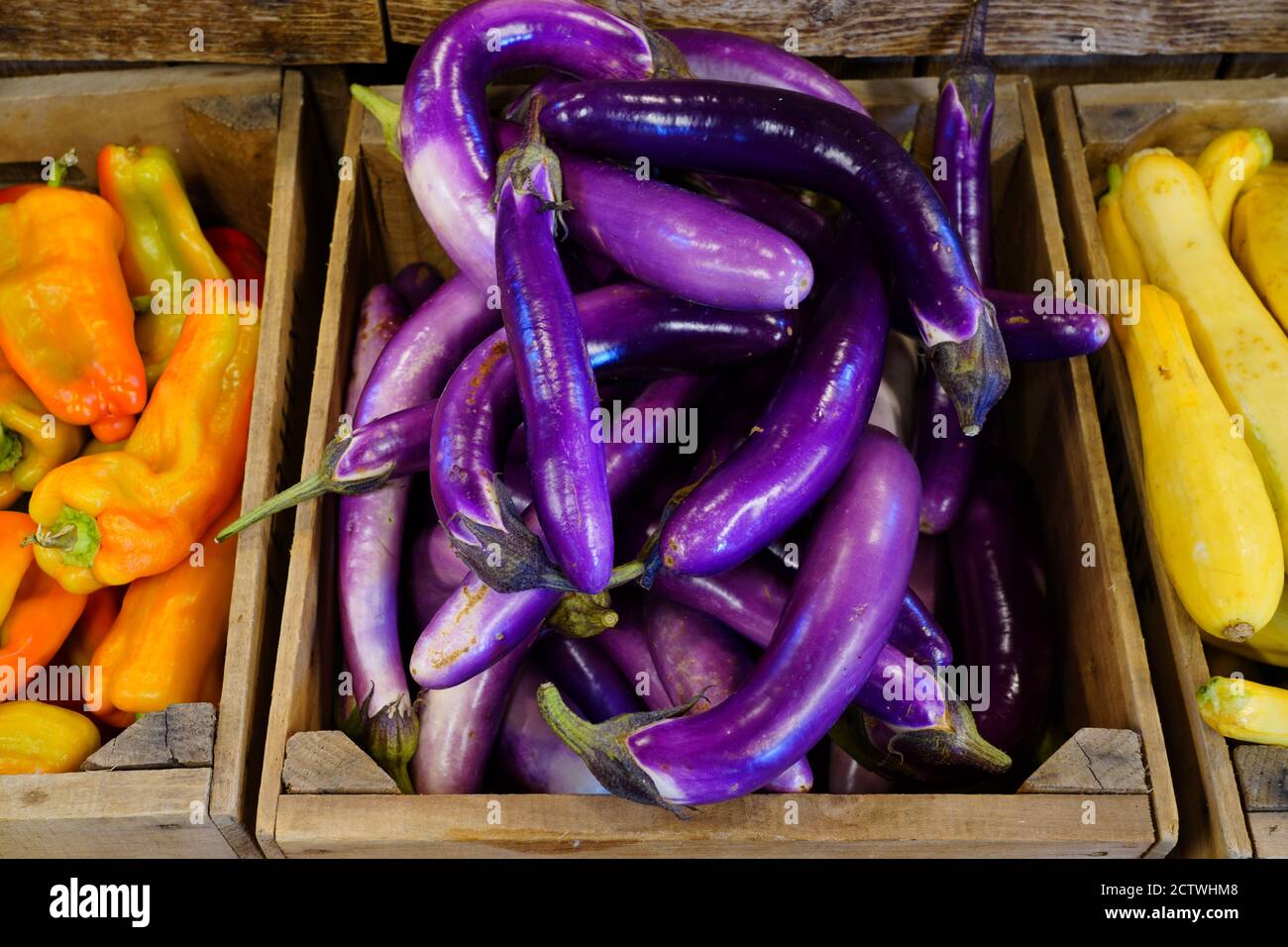 Long purple Ichiban Japanese eggplant Stock Photo Alamy