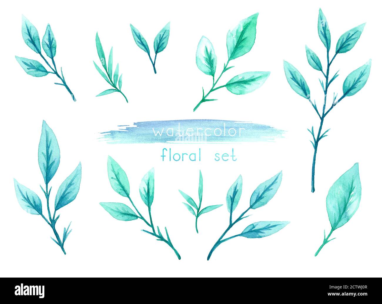 Watercolor set of green leaves and branches on a white background Stock ...