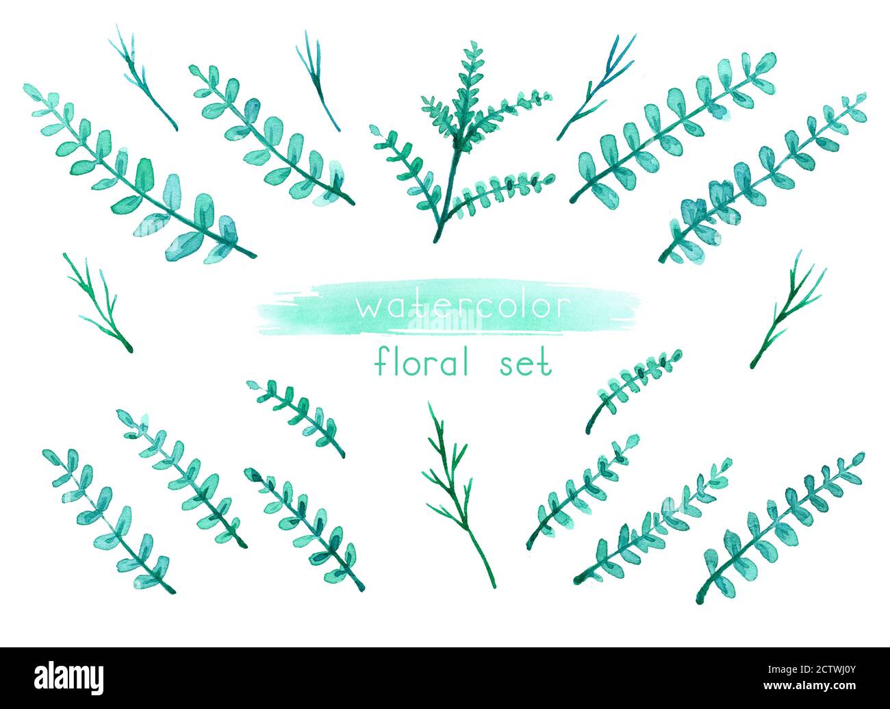 Watercolor set of green leaves and branches on a white background Stock ...