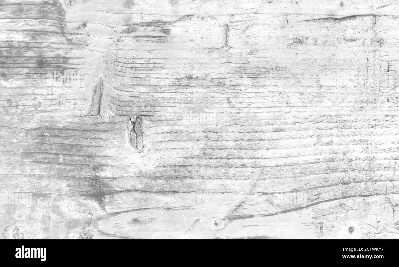 Natural Light Grey Oak Wooden Background Texture Stock Photo