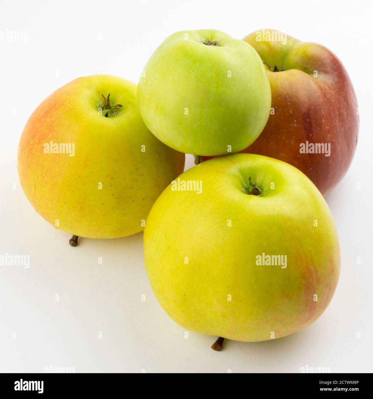 four green and red apples on a white background Stock Photo