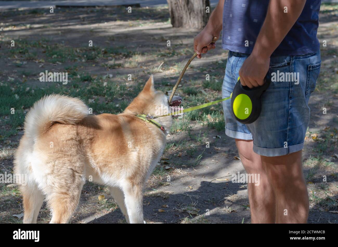 How Long Should I Walk My 5 Month Old Puppy