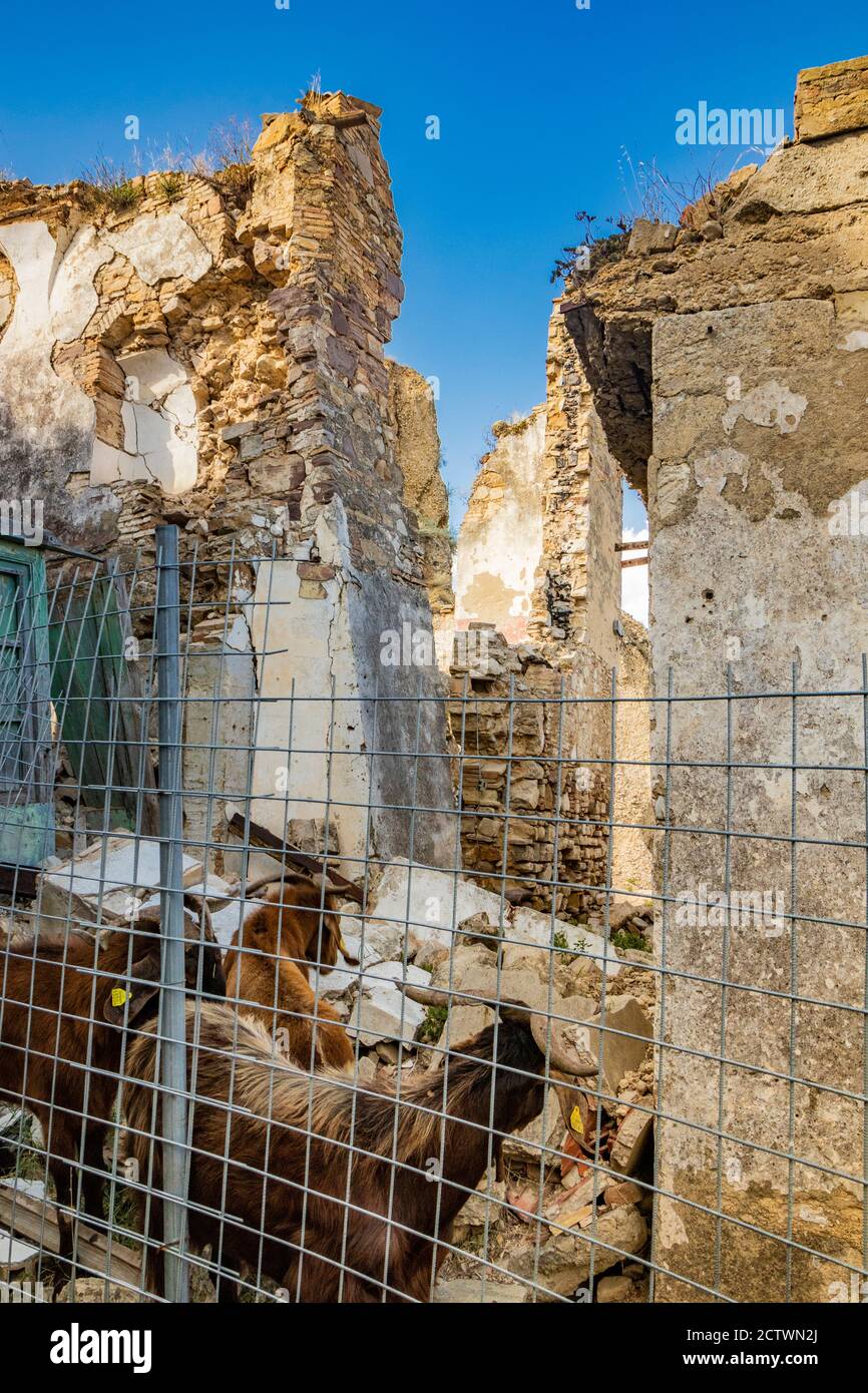 Craco, Basilicata, Italy. Ghost town destroyed by landslide. The collapsed houses and the remains invaded by vegetation, stones and debris. Goats graz Stock Photo