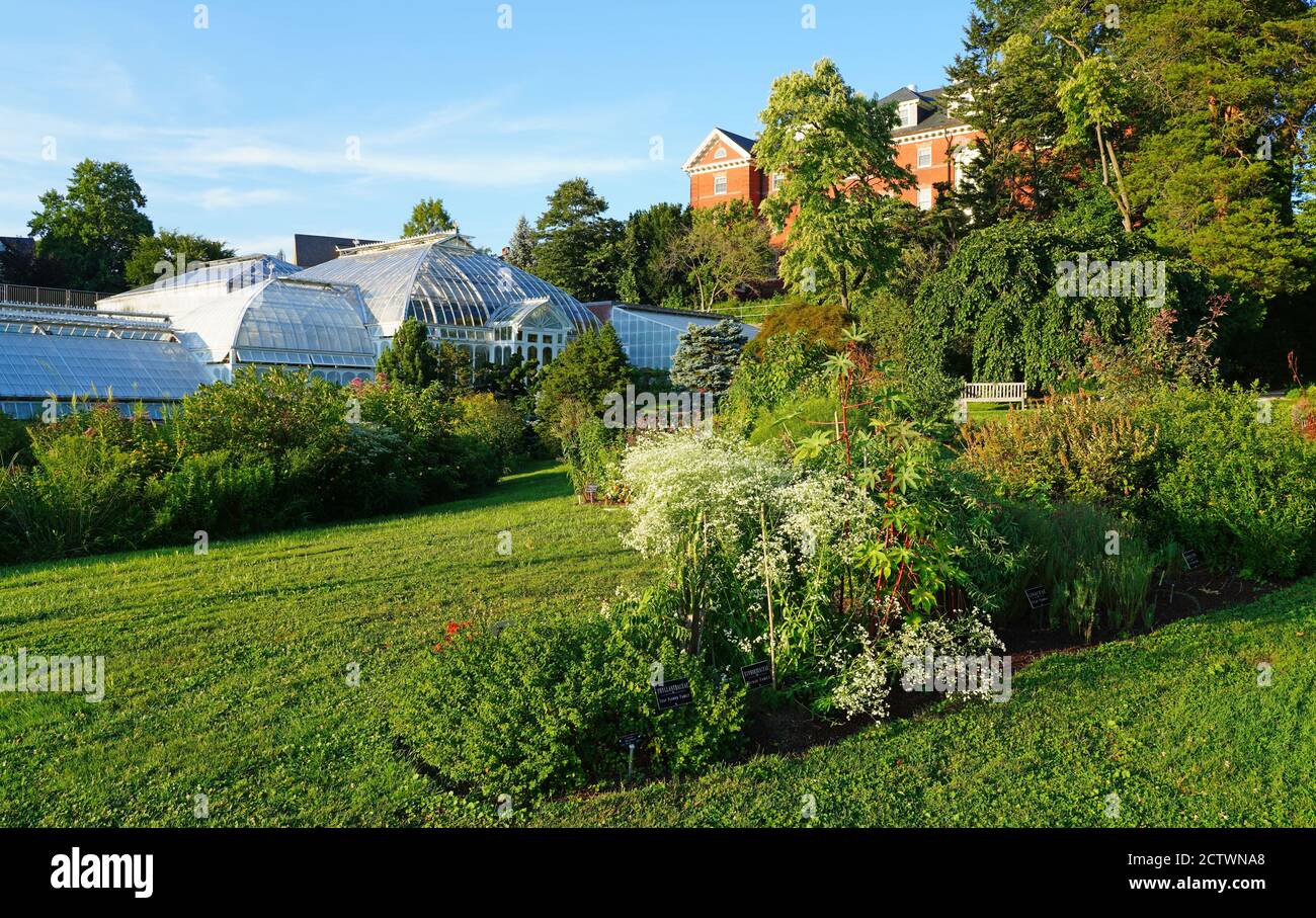 NORTHAMPTON, MA 12 AUG 2020 View of the Botanic Garden of Smith