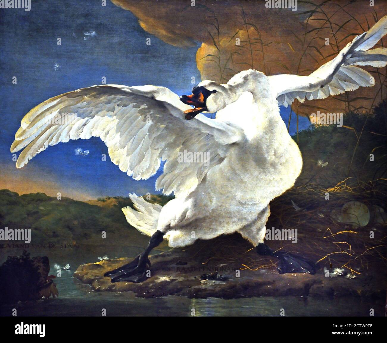 The threatened swan 1650 by Jan Asselijn 1615-1652 Dutch The Netherlands ( Swan  defends its nest against a dog. The white swan was conceived as the statesman Johan de Witt, who was murdered in 1672 and who defends the country against his enemies. ) Stock Photo
