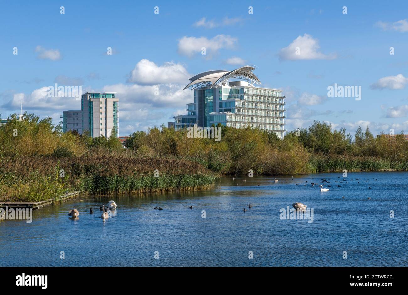 Cardiff Bay Wetlands with the St David's Hotel behind, both on the edge of Cardiff Bay. Stock Photo