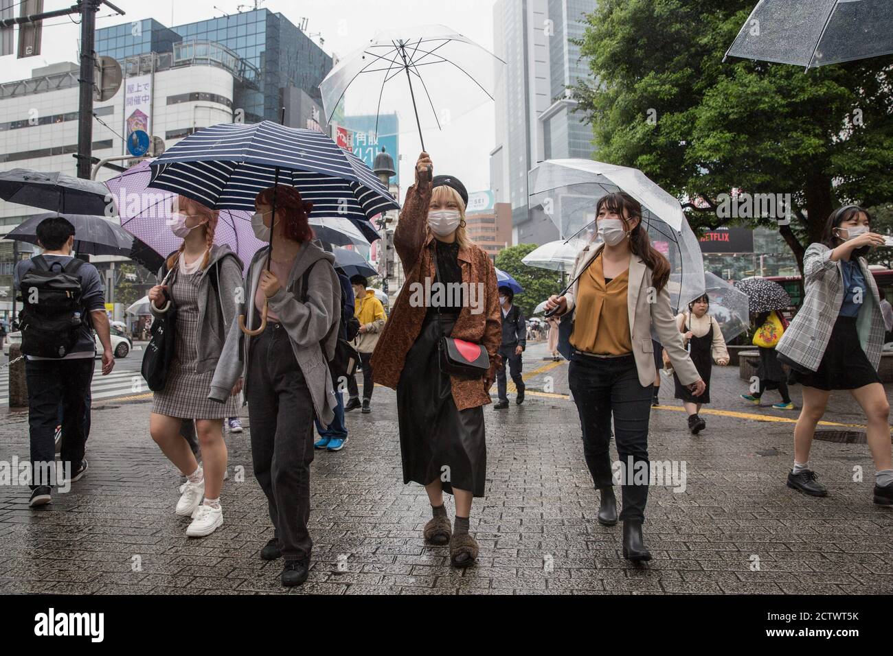 Pedestrians holding umbrellas walk near the Shibuya Crossing during a ...