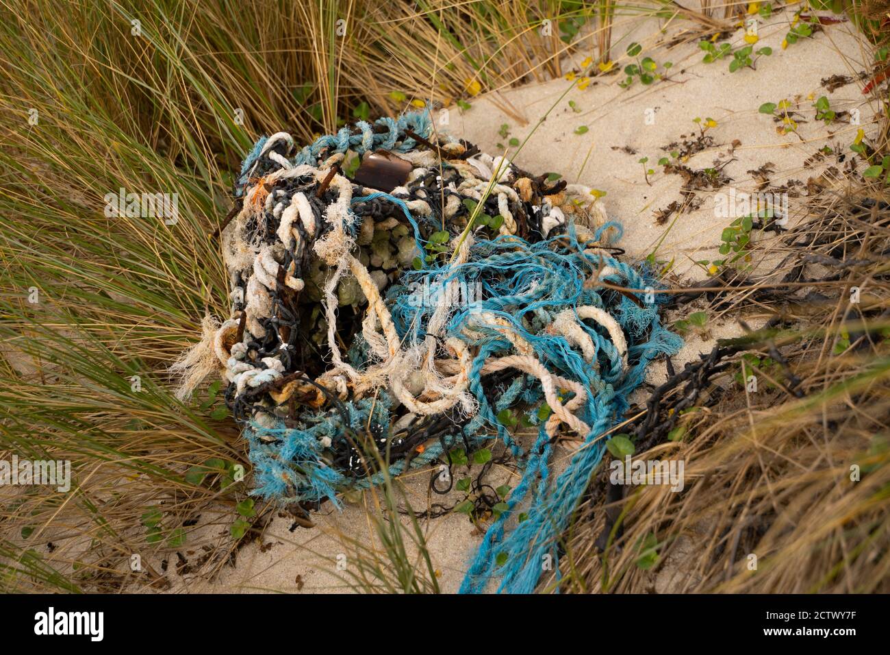 Waste netting, Tresco, Isles of Scilly. Stock Photo