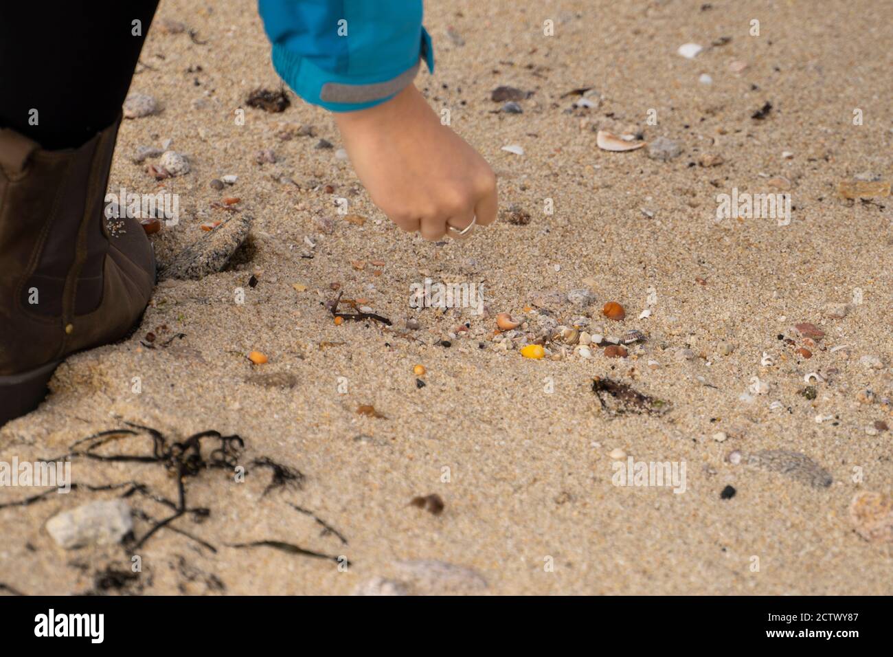 Picking up shells in the sand, Isles of Scilly Stock Photo