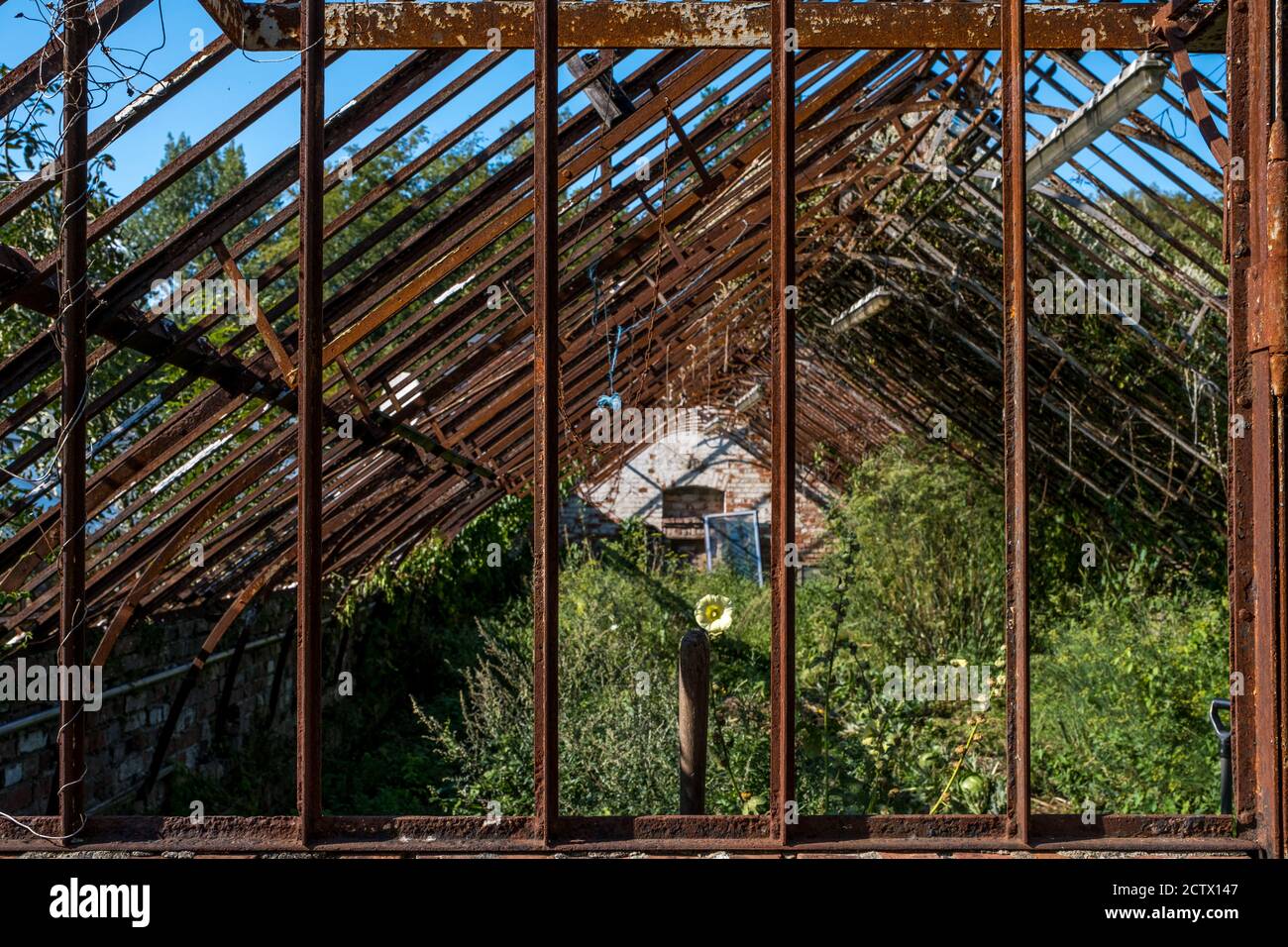 Vintage greenhouse hi-res stock photography and images - Alamy