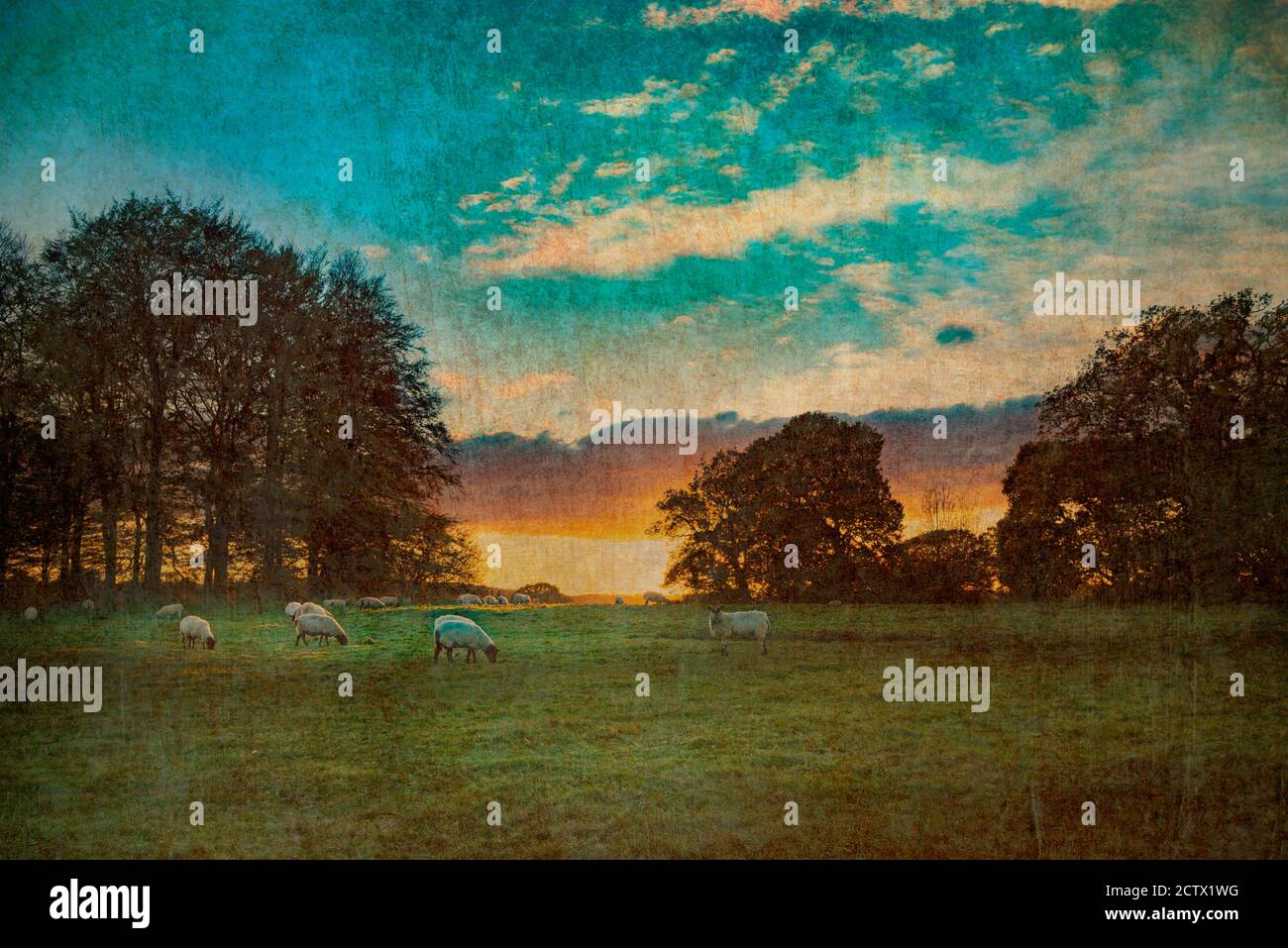 Rural countride view across agricultural land at dusk in East Sussex
