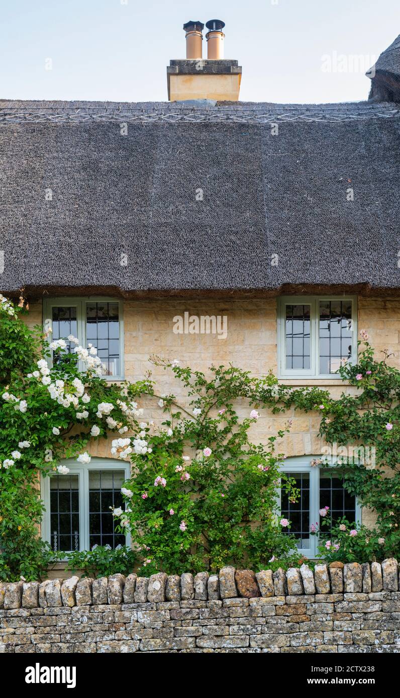 Thatched cottage in a cotswold village in early autumn. Taynton, Cotswolds, Oxfordshire, England