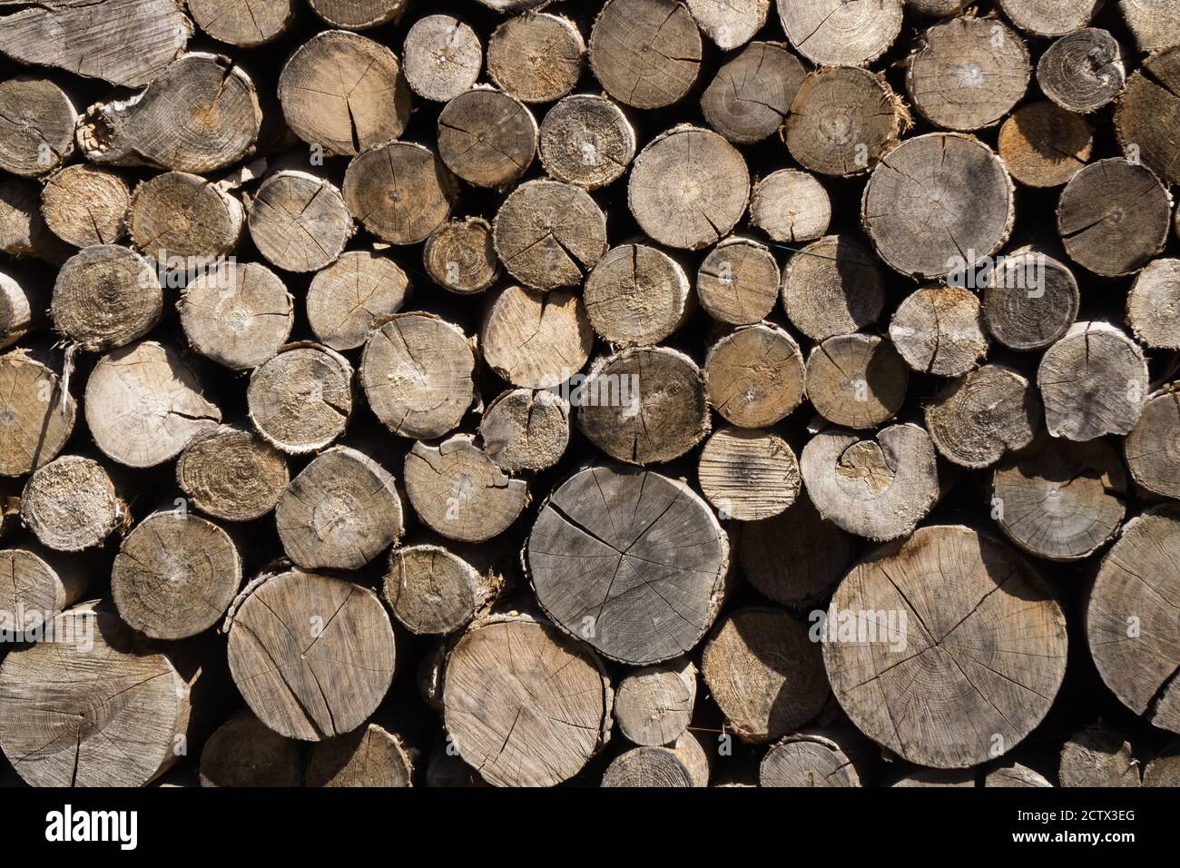 A background of round tree trunks in the foreground. Stock Photo
