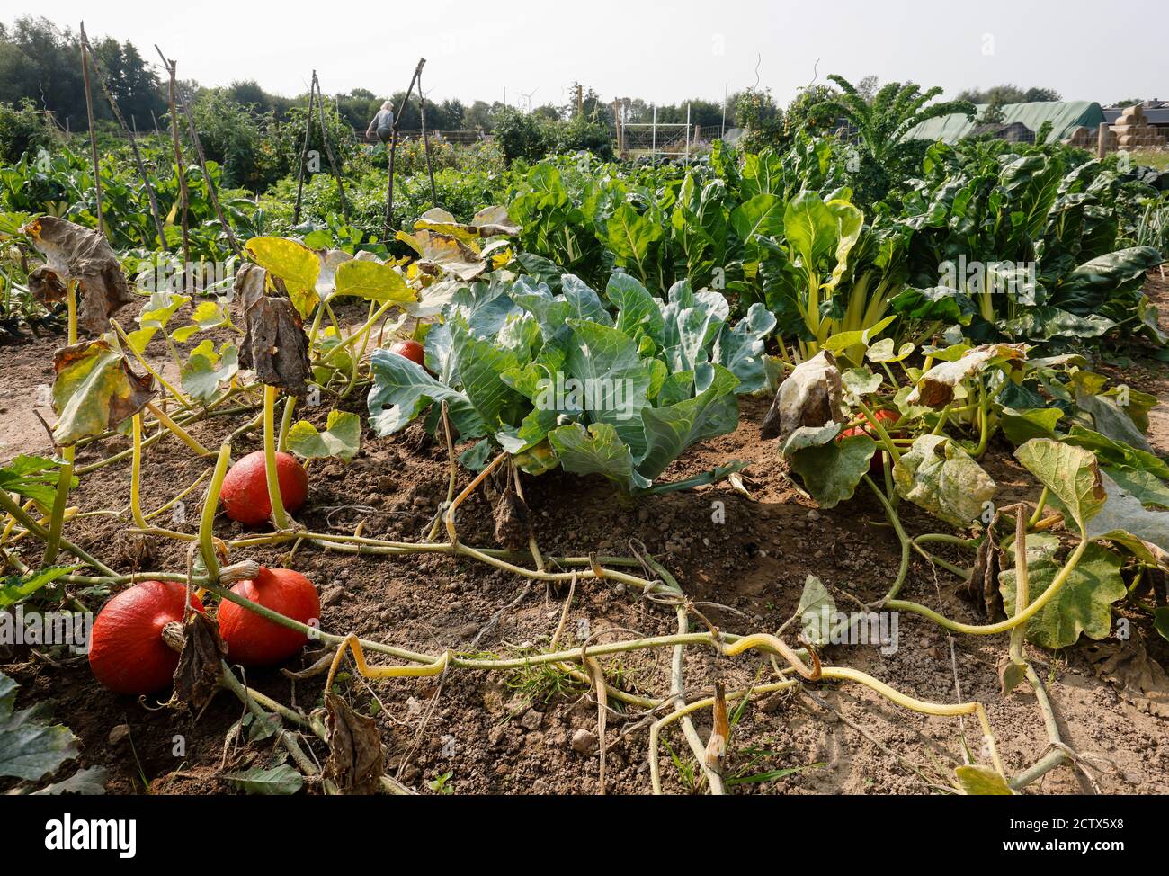 KampLintfort, North RhineWestphalia, Germany Organic farming NRW