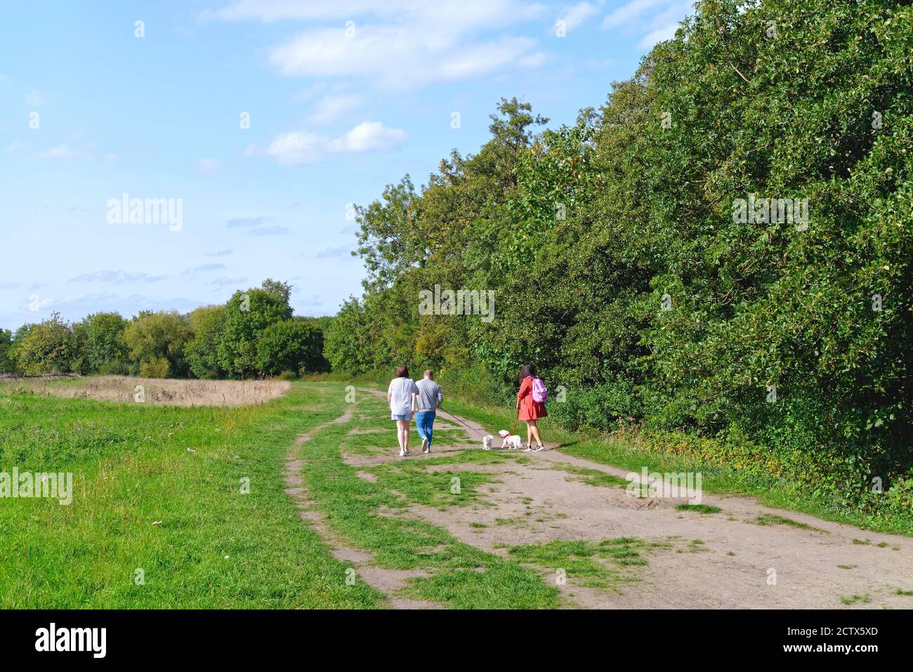 Three young people walking two dogs on the River Thames footpath at Runnymede on a summers day, Egham Surrey England UK Stock Photo