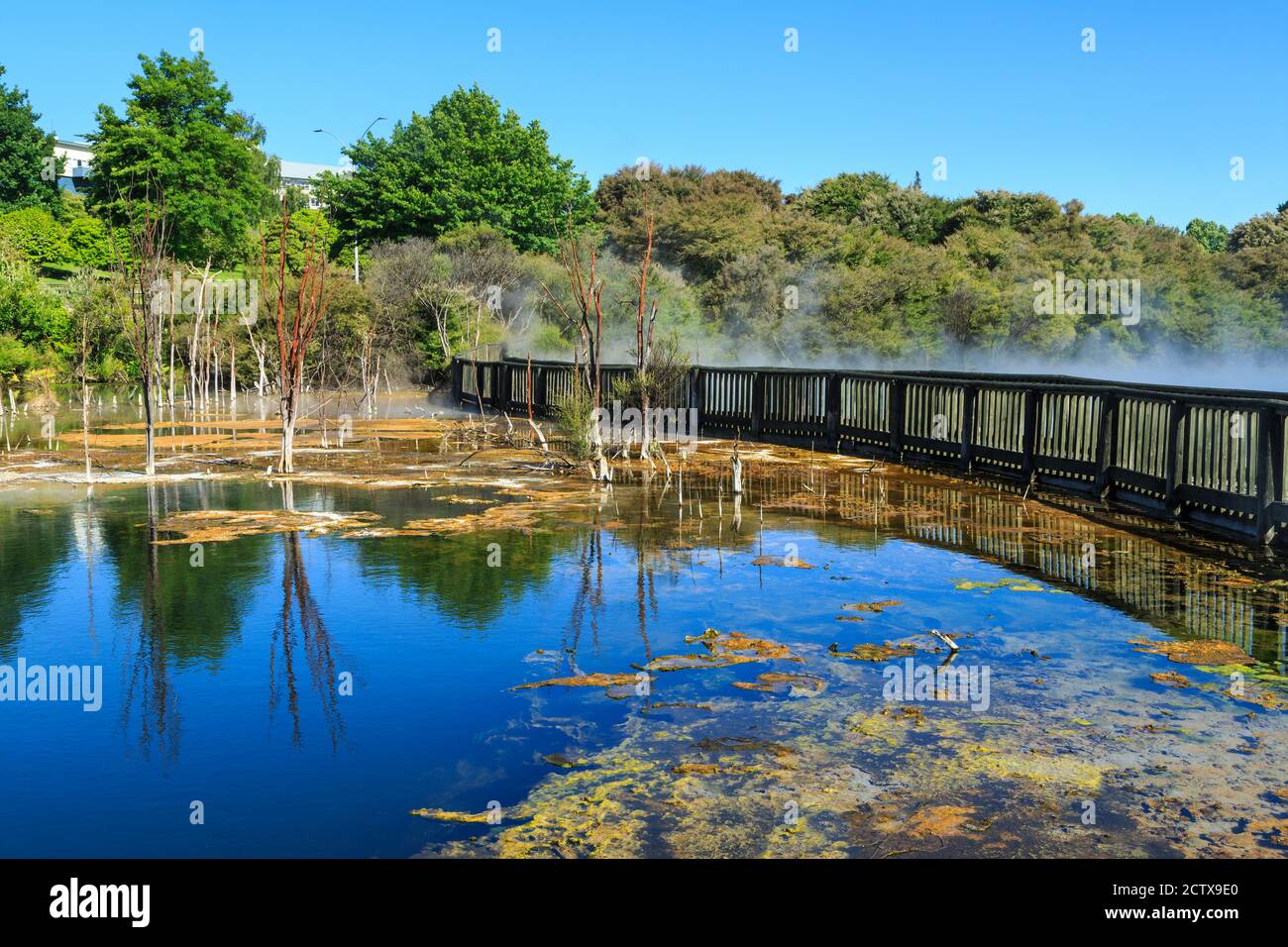 A geothermal lake in Kuirau Park, Rotorua, New Zealand, with a walkway crossing it. One side is steaming hot and the other is full of colorful algae Stock Photo