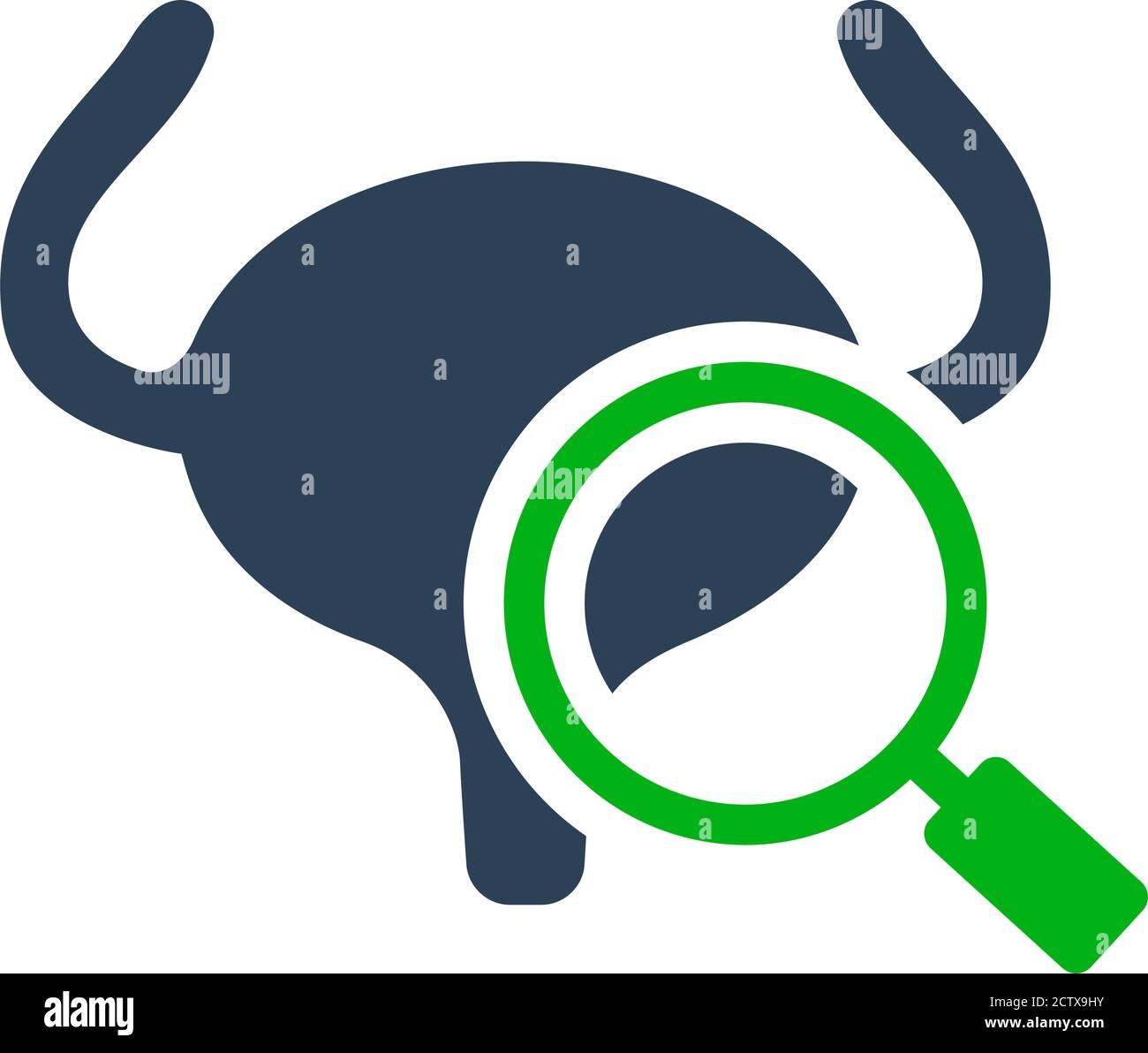 Urinary bladder with magnifying glass colored icon. Organ research ...