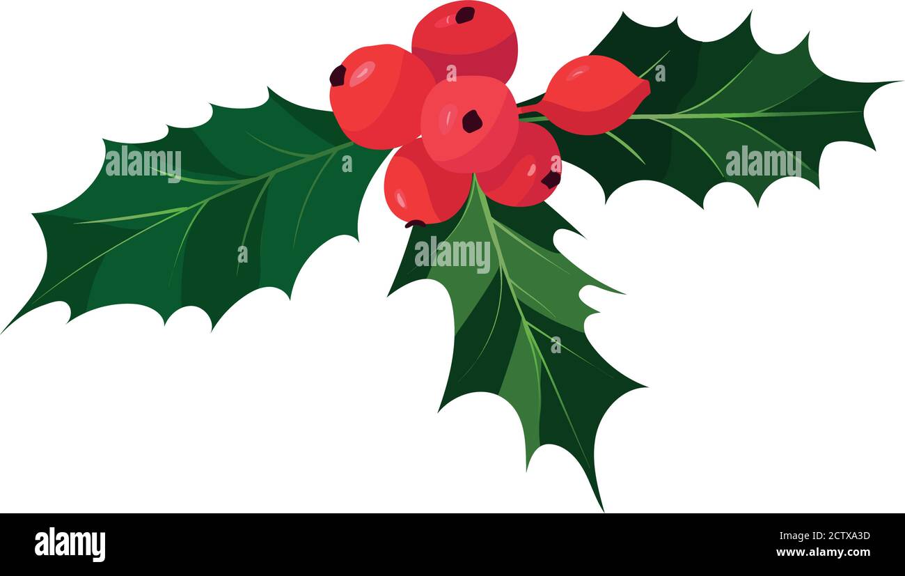 Christmas Holly With Red Berries Stock Vector Image & Art - Alamy