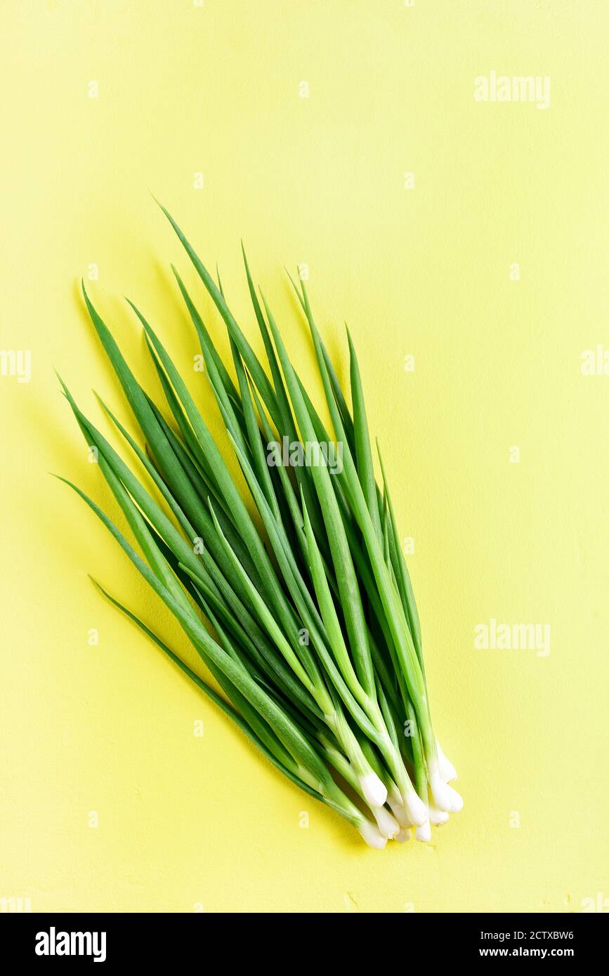 Fresh green onion on yellow background with free text space. Top view, flat lay Stock Photo