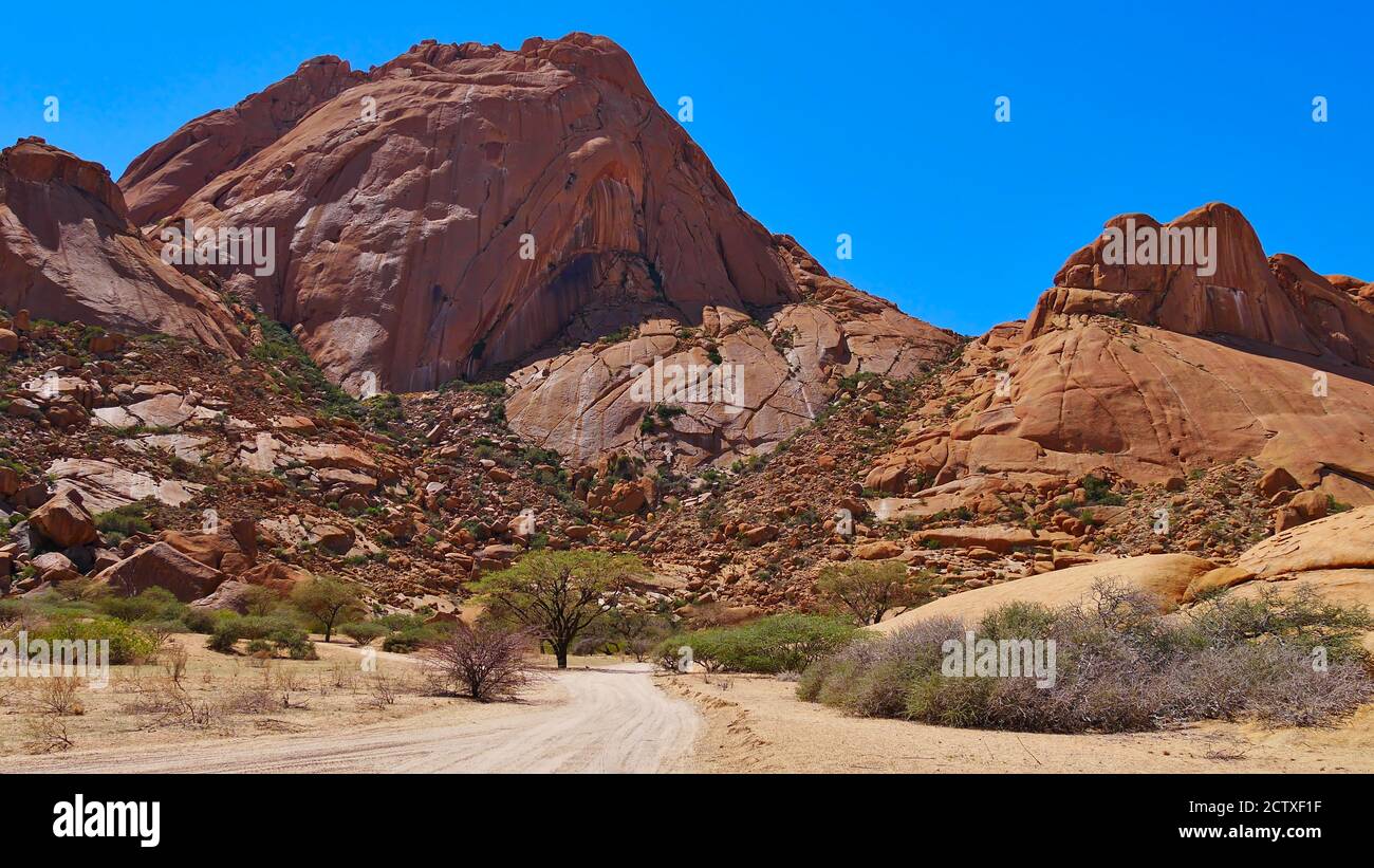 Front view of red colored Spitzkoppe, Kalahari desert, Namibia, Africa with gravel road and vegeation in hot midday sun. Stock Photo