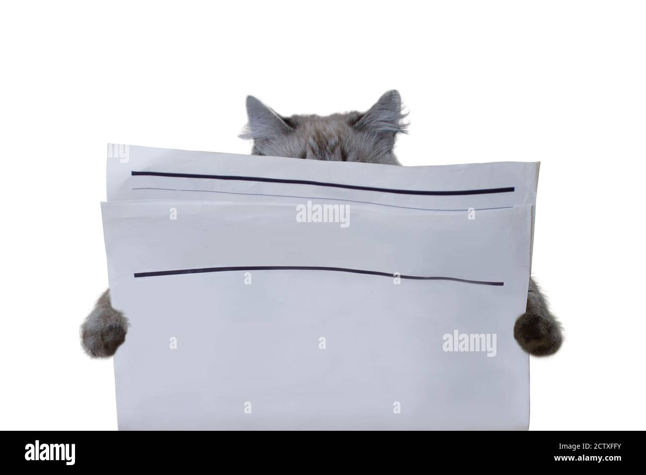 Blank Newsprint Paper High Resolution Stock Photography And Images Alamy Blank Newsprint Paper High Resolution Stock Photography And Images Alamy