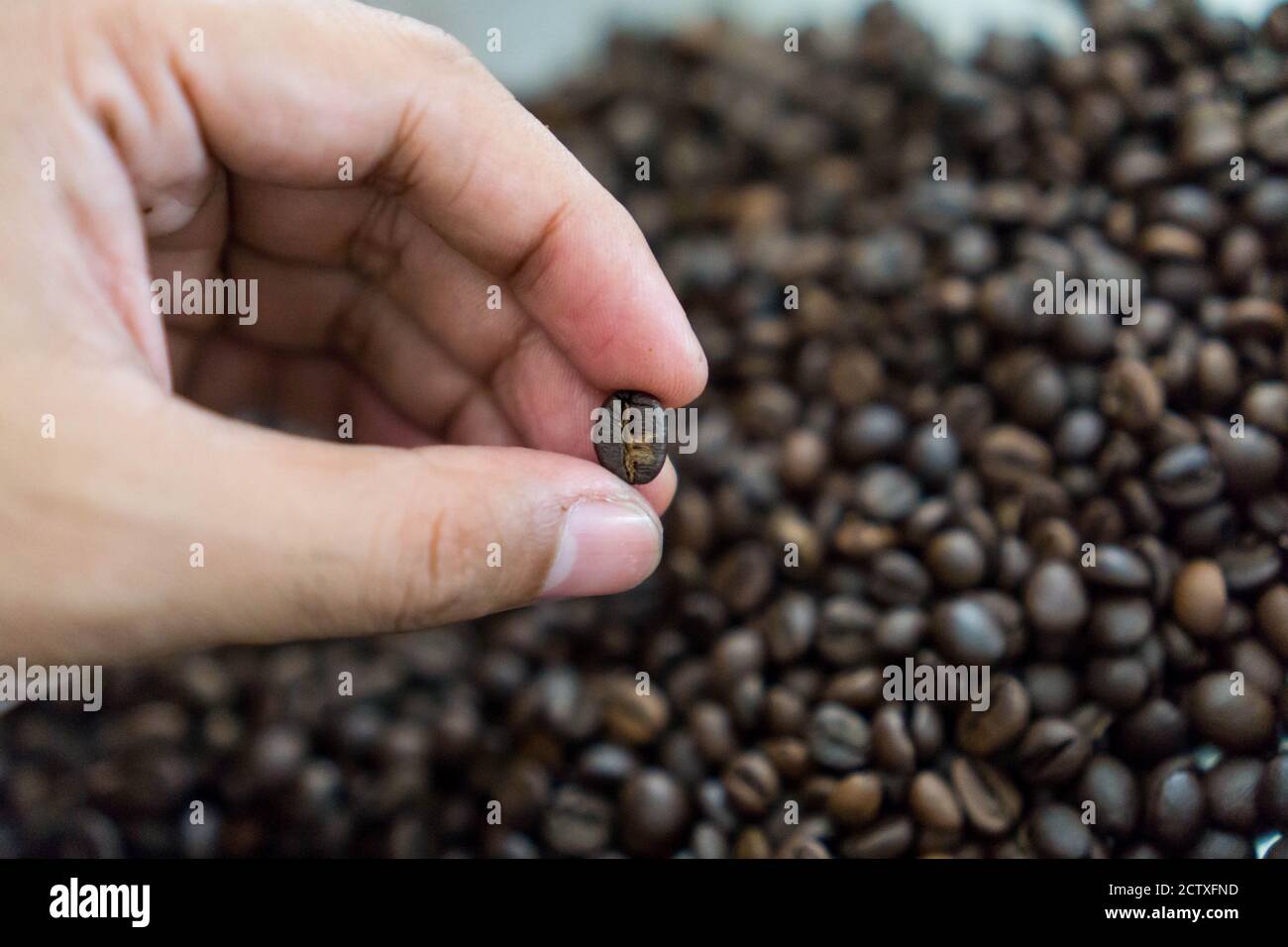 Roasting coffee transforms the chemical and physical properties of