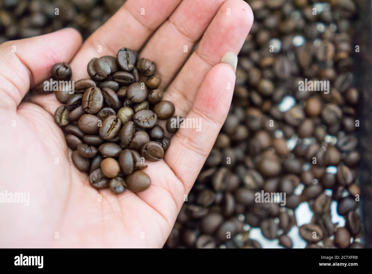 Roasting coffee transforms the chemical and physical properties of