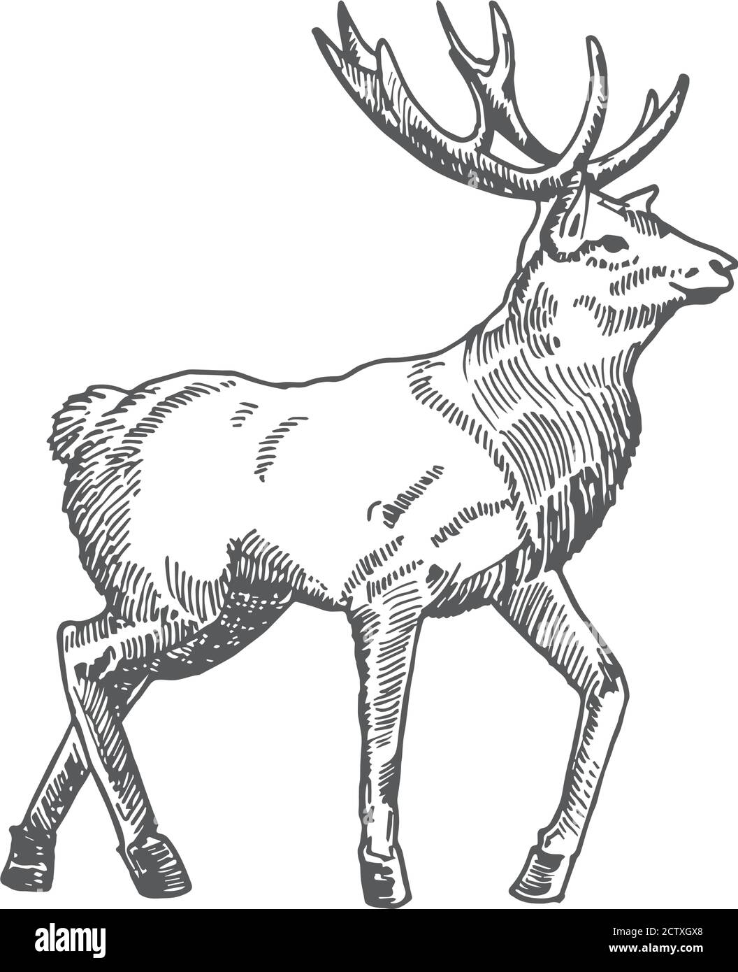 Reindeer Dust: Over 210 Royalty-Free Licensable Stock Illustrations &  Drawings