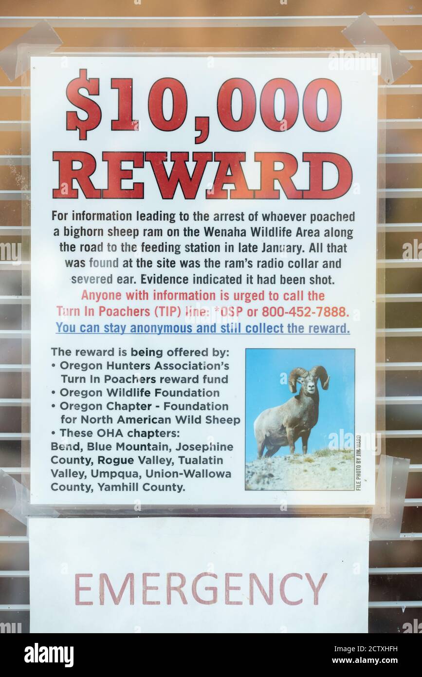 Sign offering reward for information on poaching of a bighorn sheep ram in Washington. Stock Photo