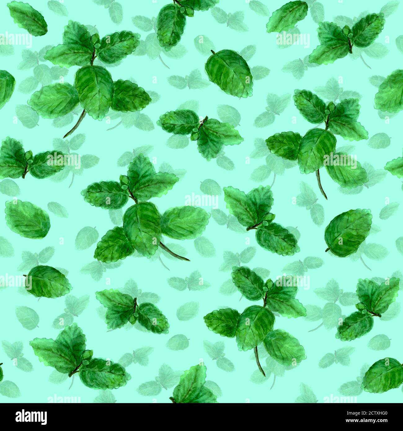 Mint herb spice leaves seamless pattern on mint teal background