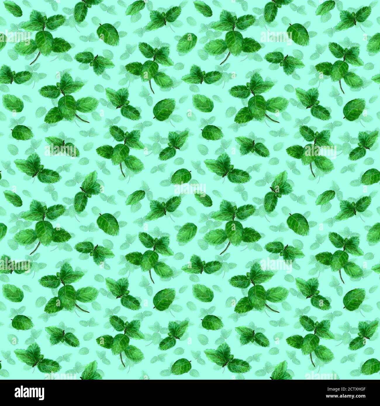 Mint herb spice leaves seamless pattern on teal green background ...