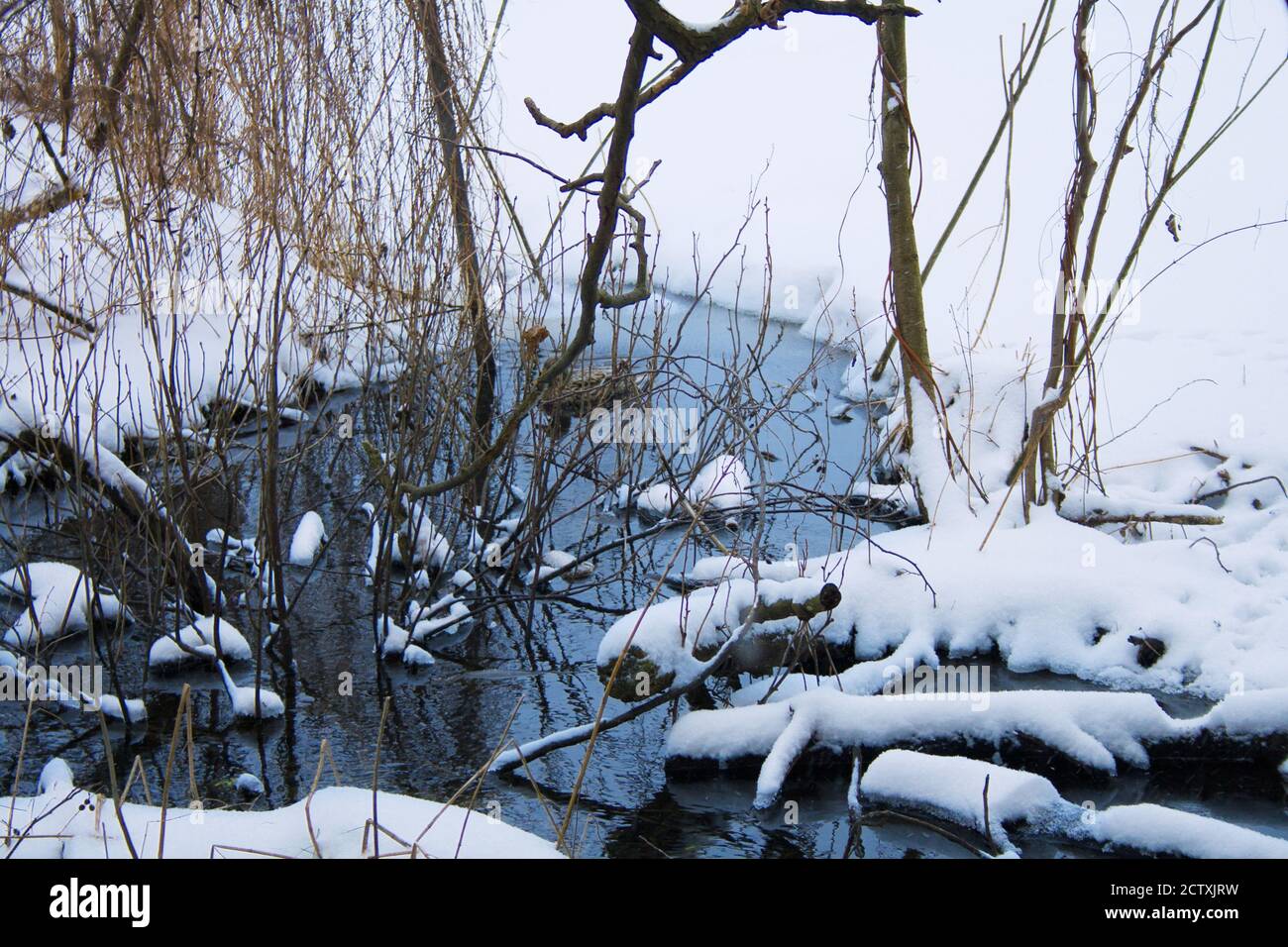 A blue creek spring wellspring in a cold snowy winter day in forest. The wild duck hides behind the branches. Beautiful winter landscape Stock Photo