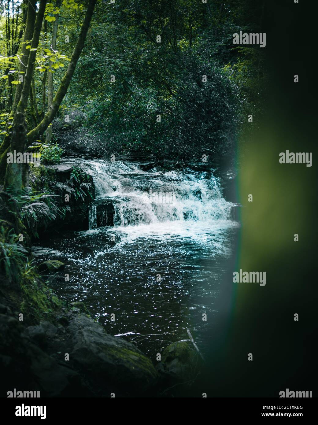 Woodland waterfalls hi-res stock photography and images - Alamy