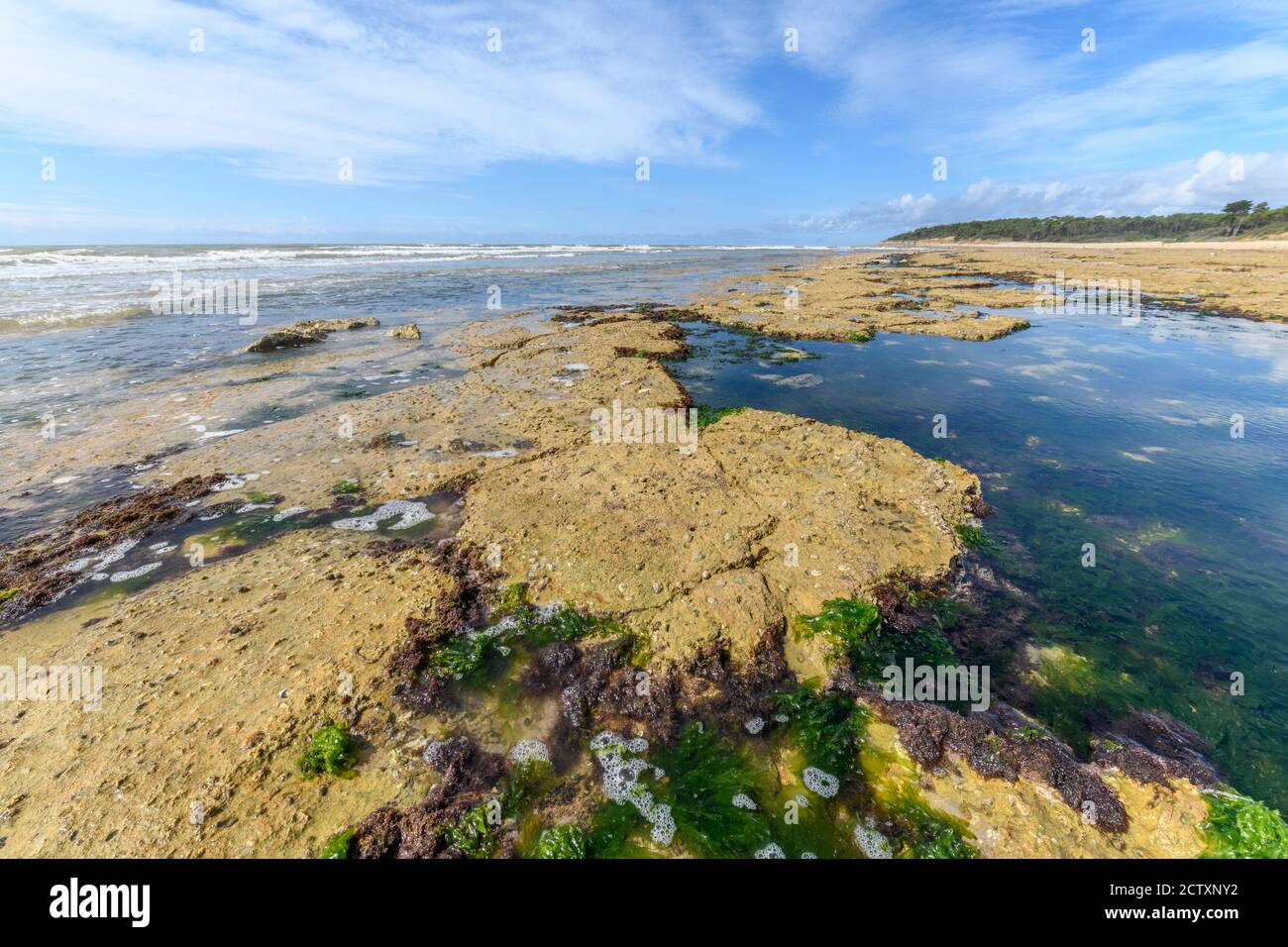 Landscape of the French Atlantic coast at low tide with sunny weather. Stock Photo