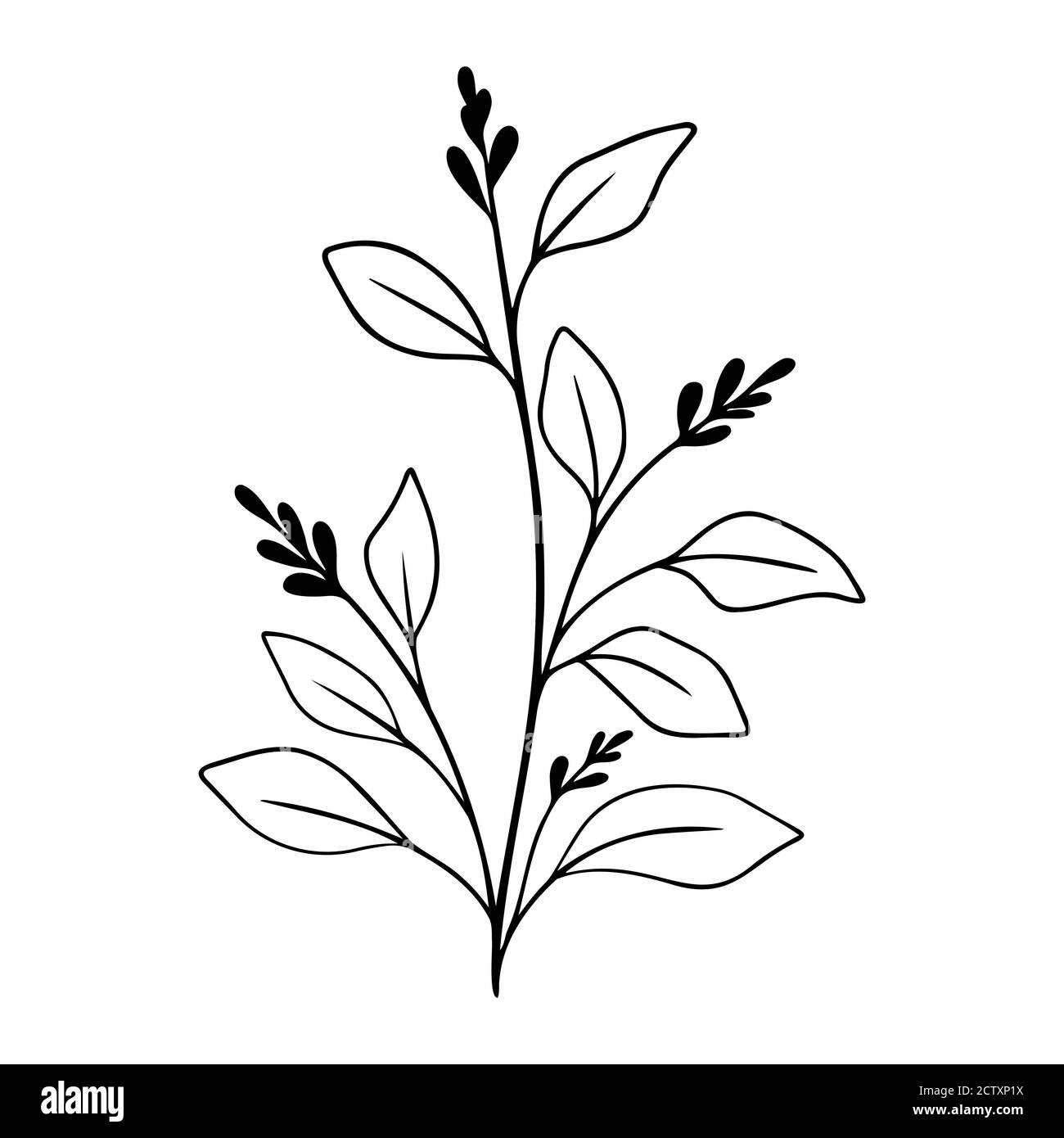 Simple black branch with berry and leaves. Hand drawn plant. Botanical vector floral element. Stock Vector
