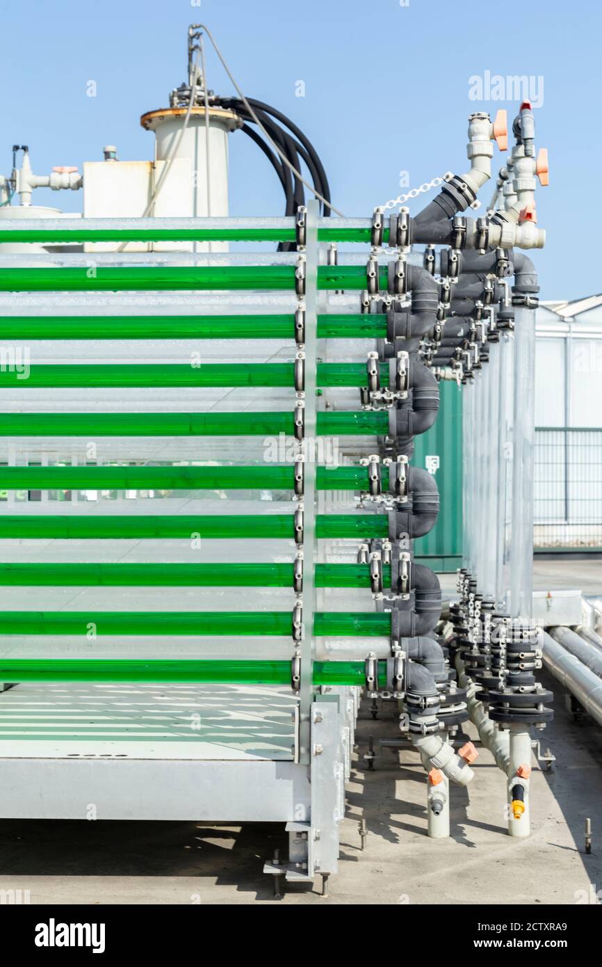 Algae production hires stock photography and images Alamy