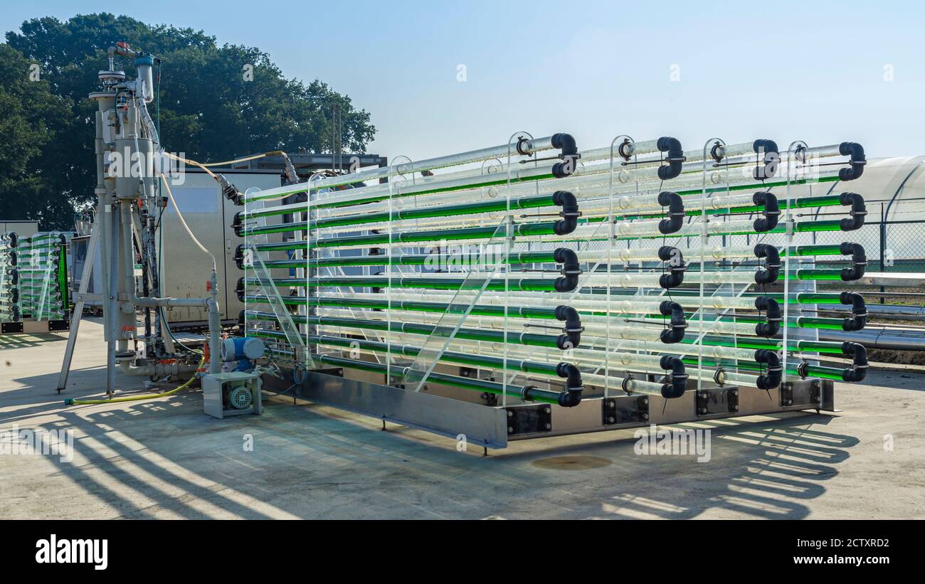 Algae production hires stock photography and images Alamy