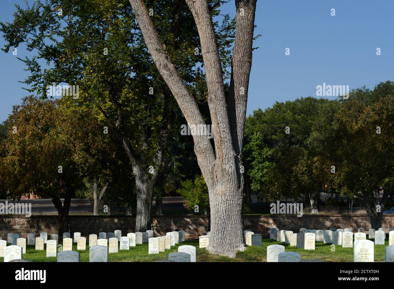Marble tombstones marking the graves of u s military veterans and