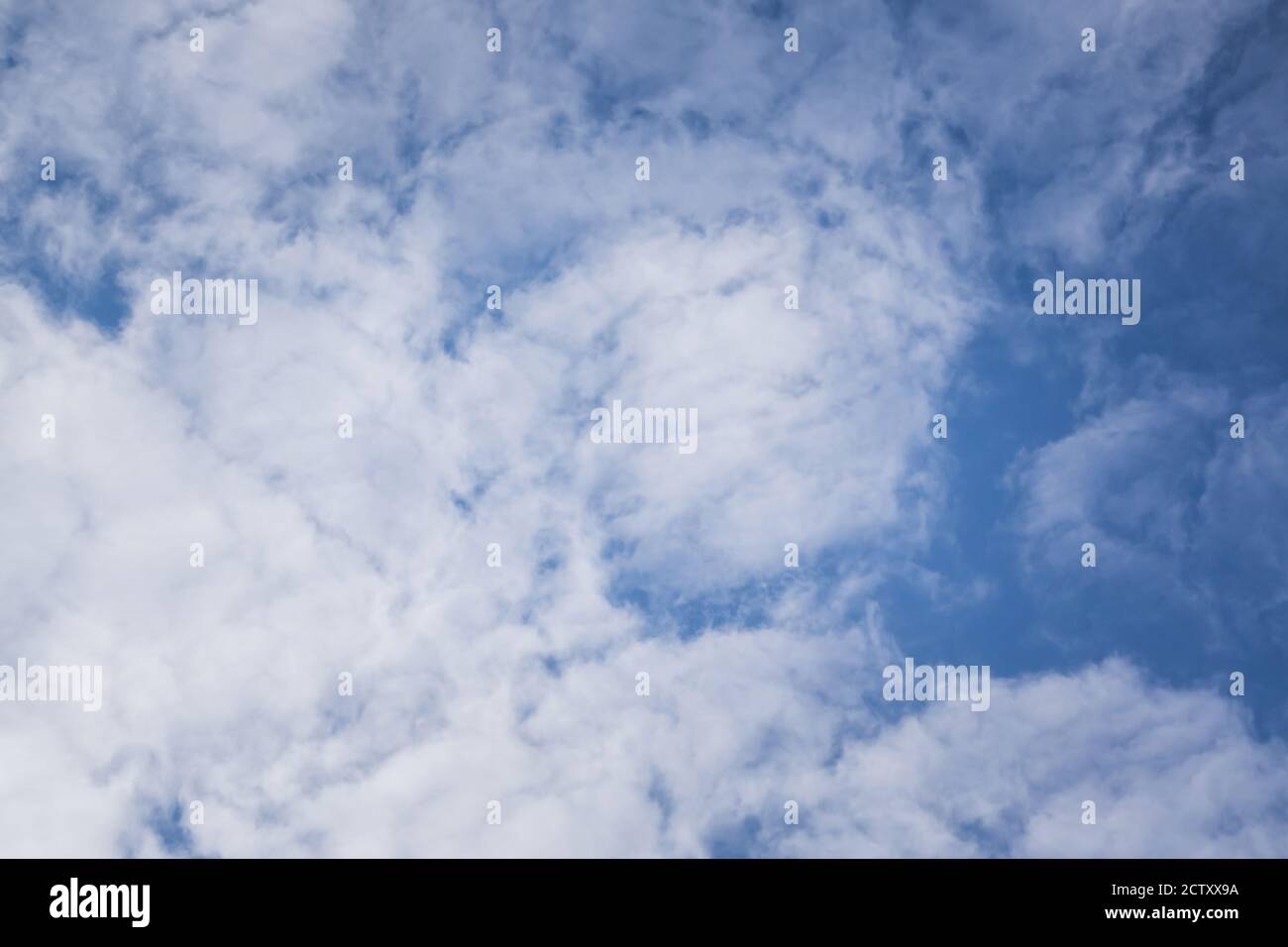 Cumulus clouds. White clouds floating on the blue sky in the summer ...