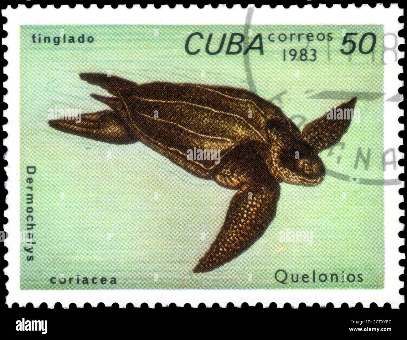 1983 год календарь какого животного. Марки кубинские черепахи. Марки Куба черепахи 1983. Марка Куба correos 1983. 1983 Год животное.