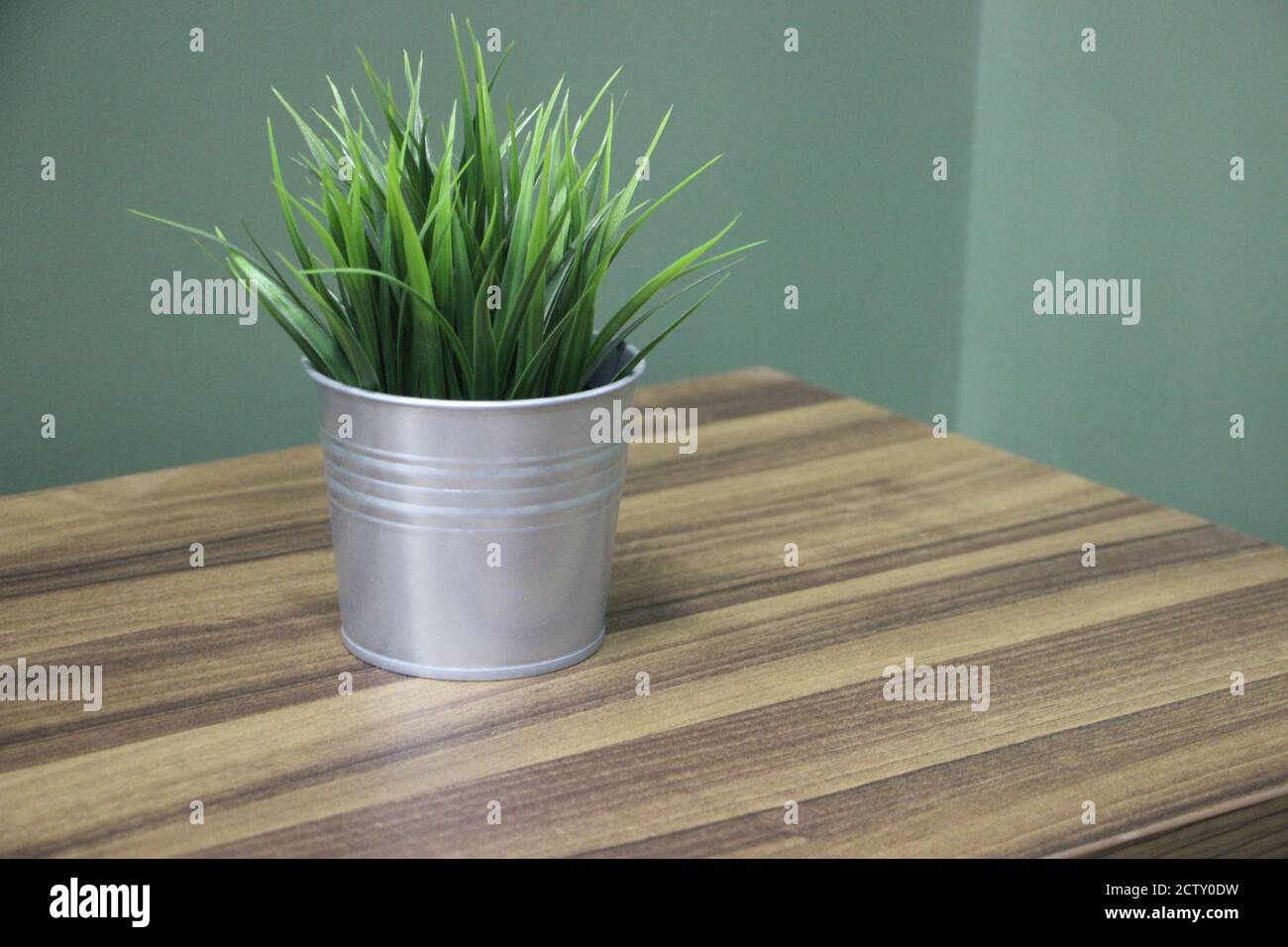 The grass in metal pot on wooden table in room interior Stock Photo