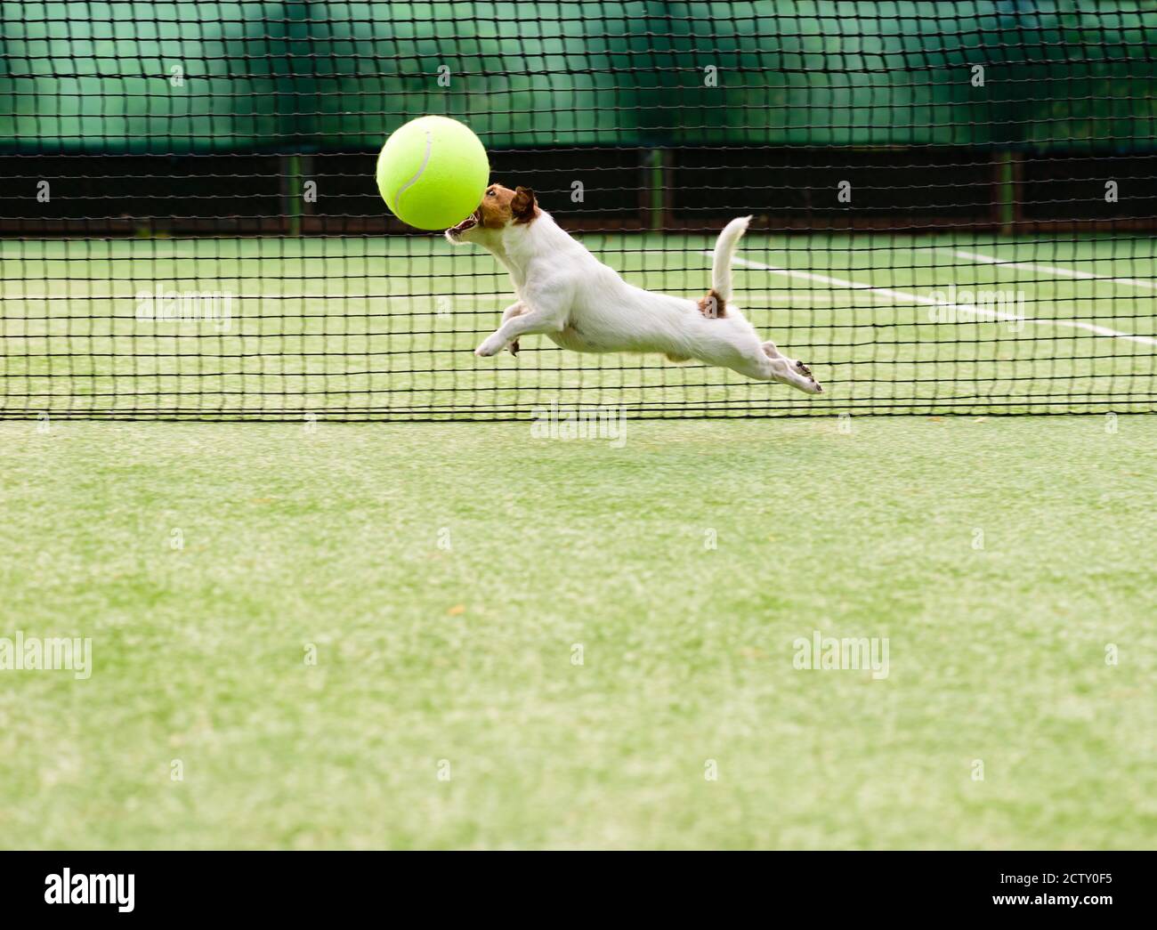 Big tennis hires stock photography and images Alamy