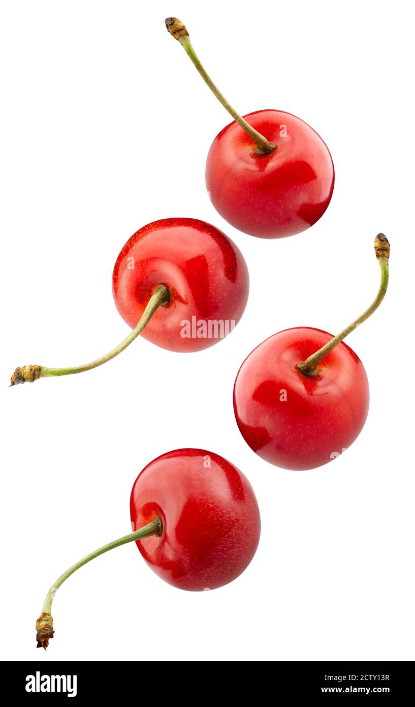 falling sweet cherries isolated on a white background. Stock Photo